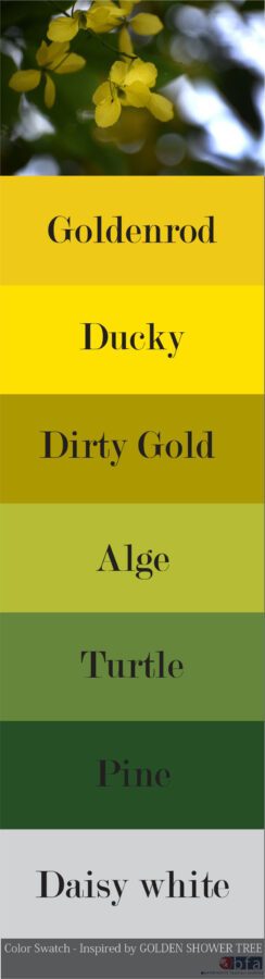 color palette of golden shower flower-bfa