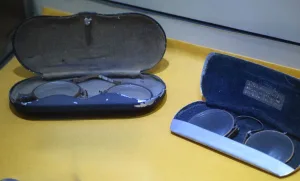 Rabindranath Tagore রবীন্দ্রনাথ ঠাকুর santi niketon kolkata (12)