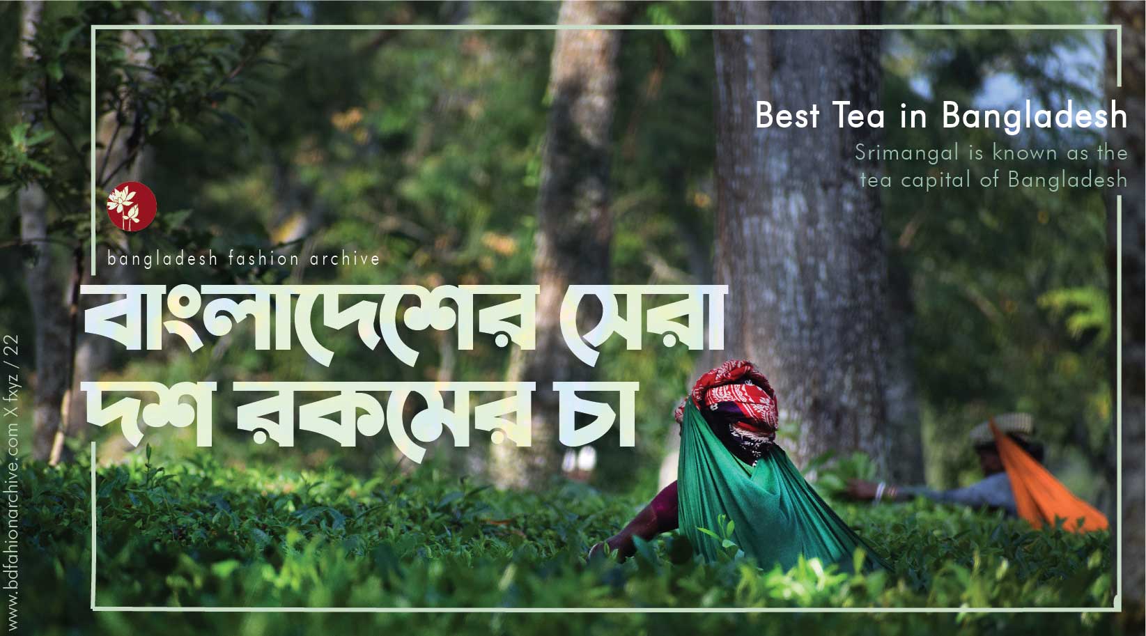 Best Tea in Bangladesh