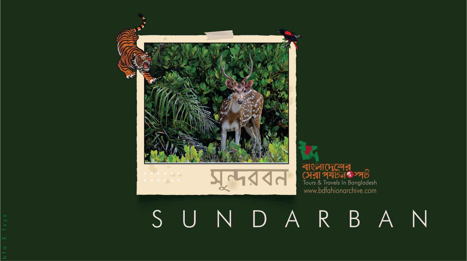 সুন্দরবন | SUNDARBAN