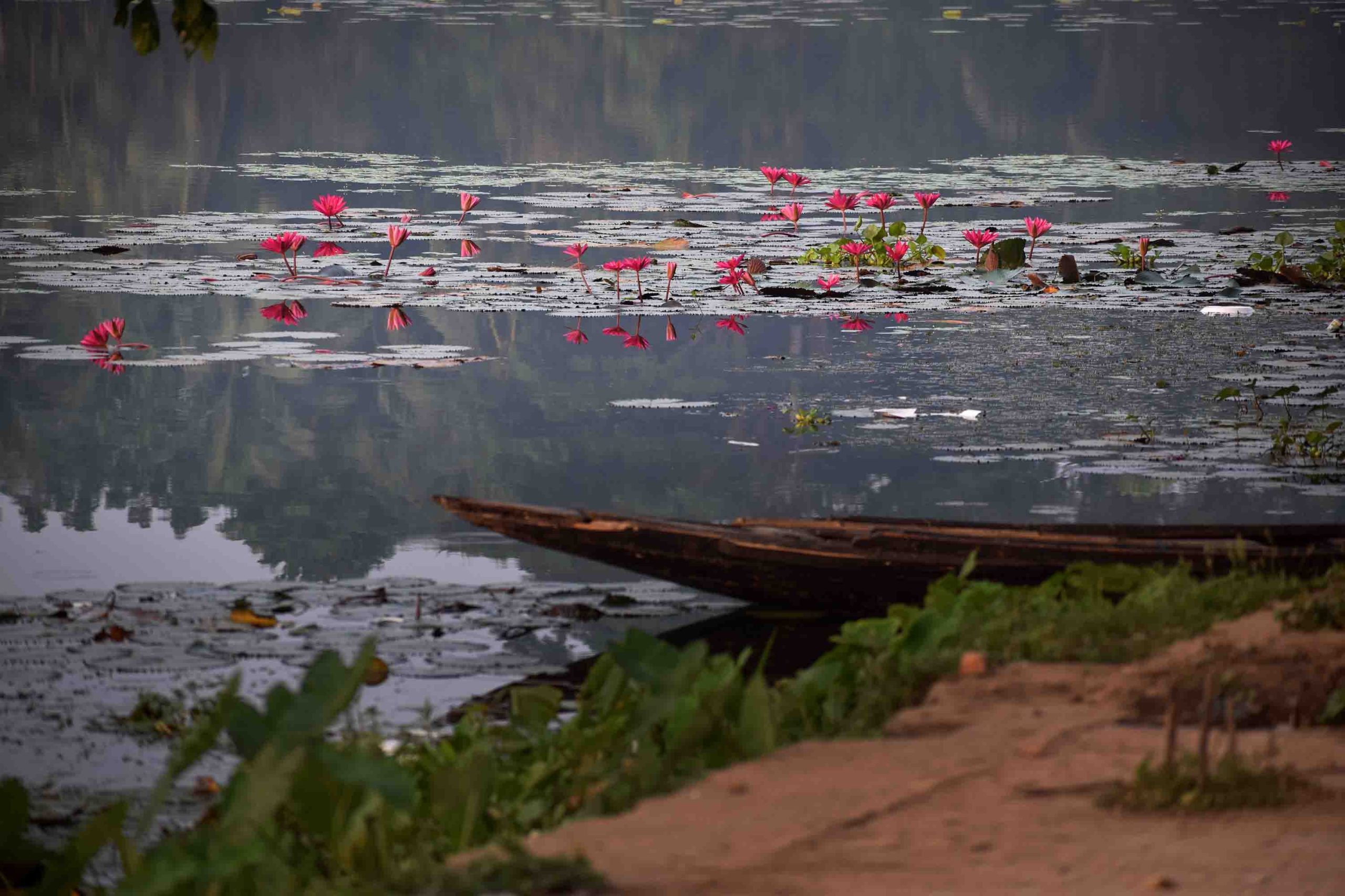 ষাট গম্বুজ মসজিদ - Sixty Dome Mosque