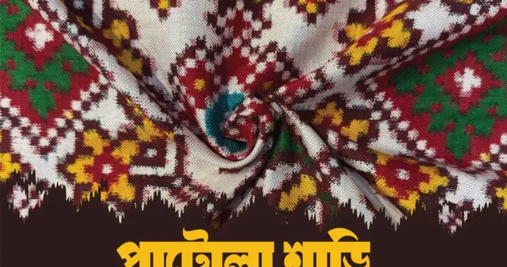 Patola Saree  পাটোলা শাড়ি fashion School knowing art x bfa x fxyz